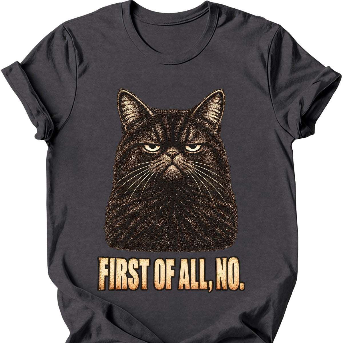 First Of All, No — Black Cat T-Shirt — Dark Heather