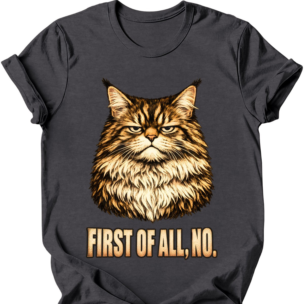First Of All, No — Maine Coon T-Shirt — Dark Heather
