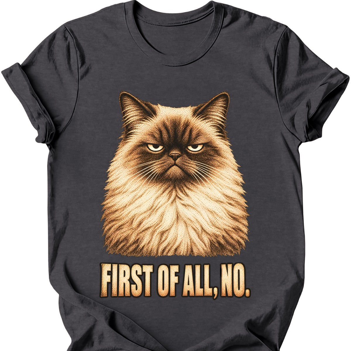 First Of All, No — Ragdoll Cat T-Shirt — Dark Heather