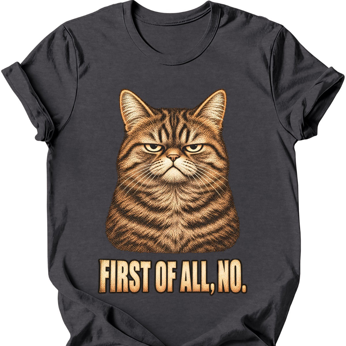 First Of All, No — Tabby Cat T-Shirt — Dark Heather