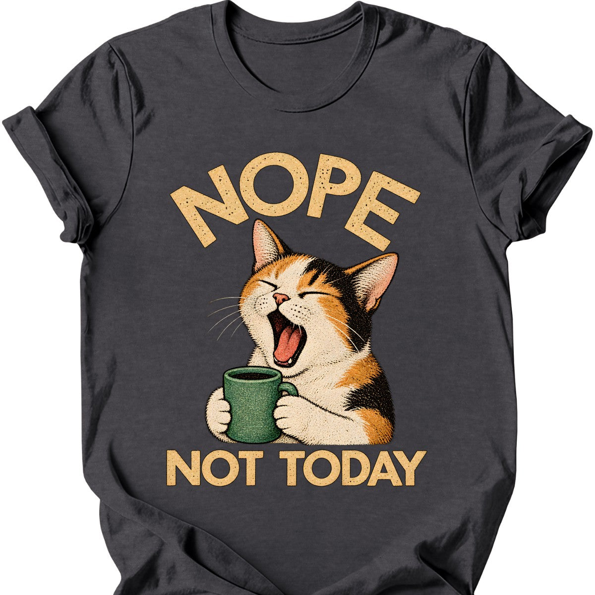 Not Today — Calico Cat T-Shirt — Dark Heather