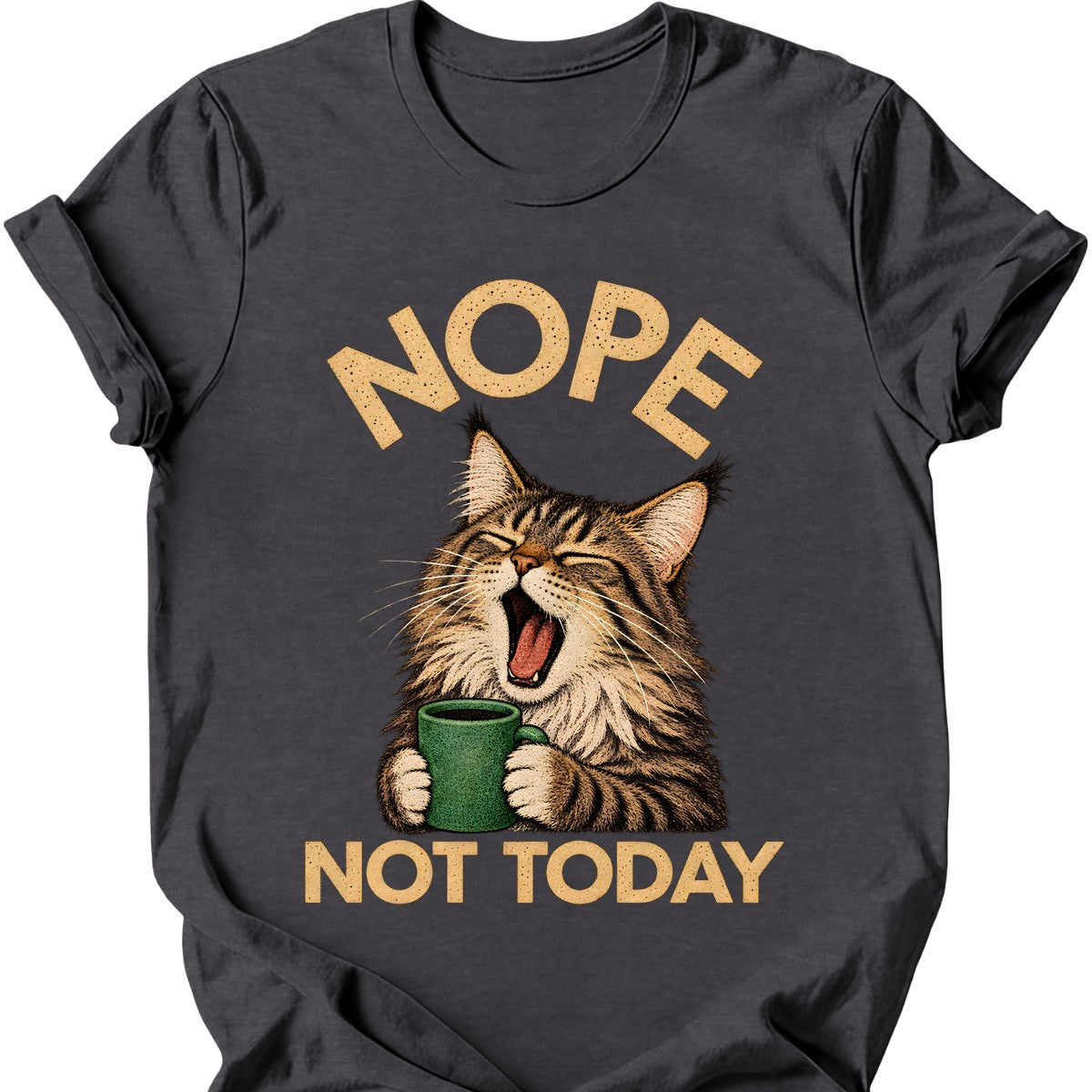 Not Today — Maine Coon T-Shirt — Dark Heather