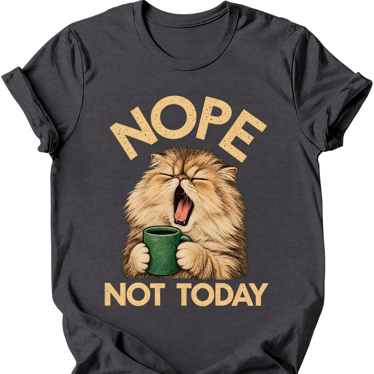 Not Today — Persian Cat T-Shirt — Dark Heather