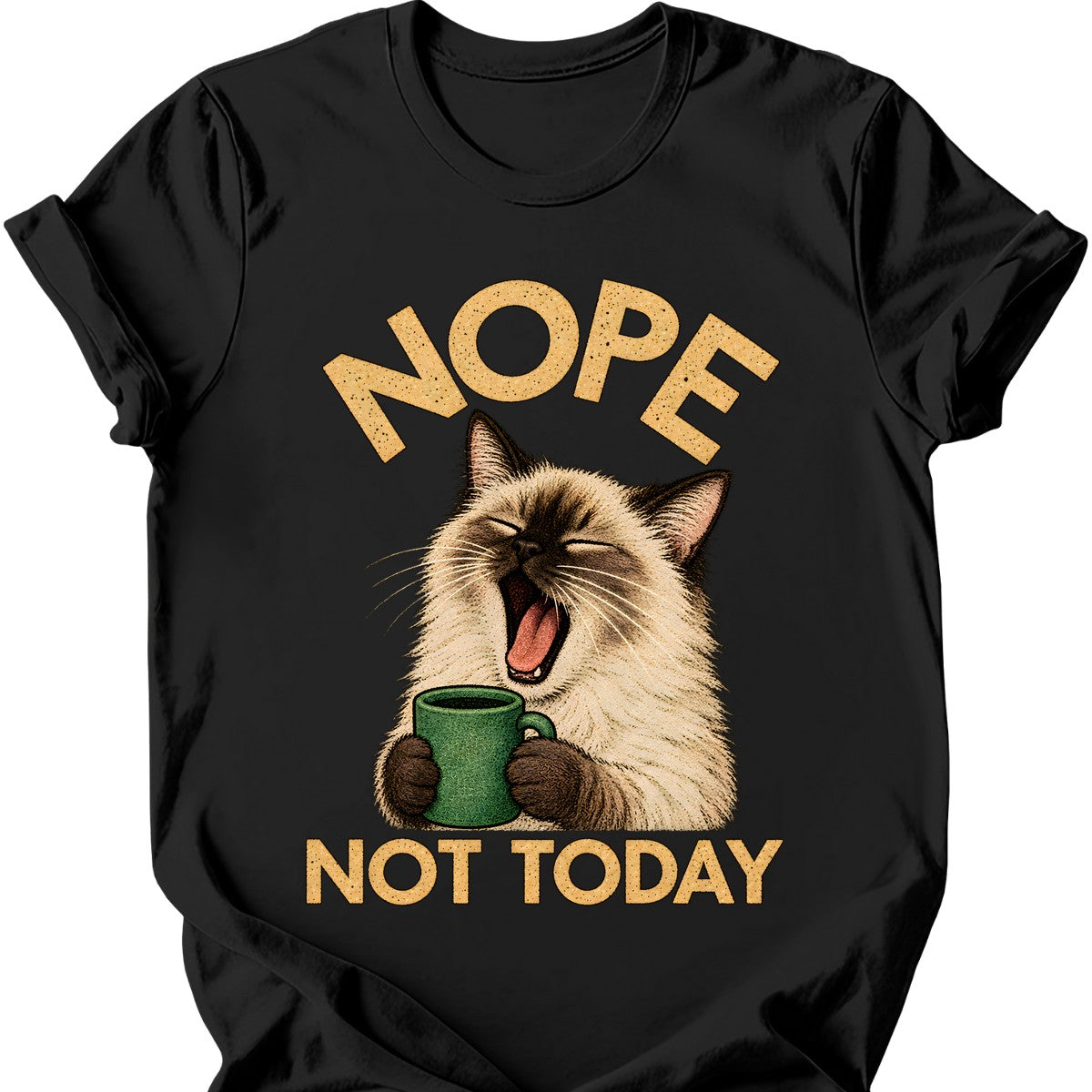 Not Today — Ragdoll Cat T-Shirt — Black
