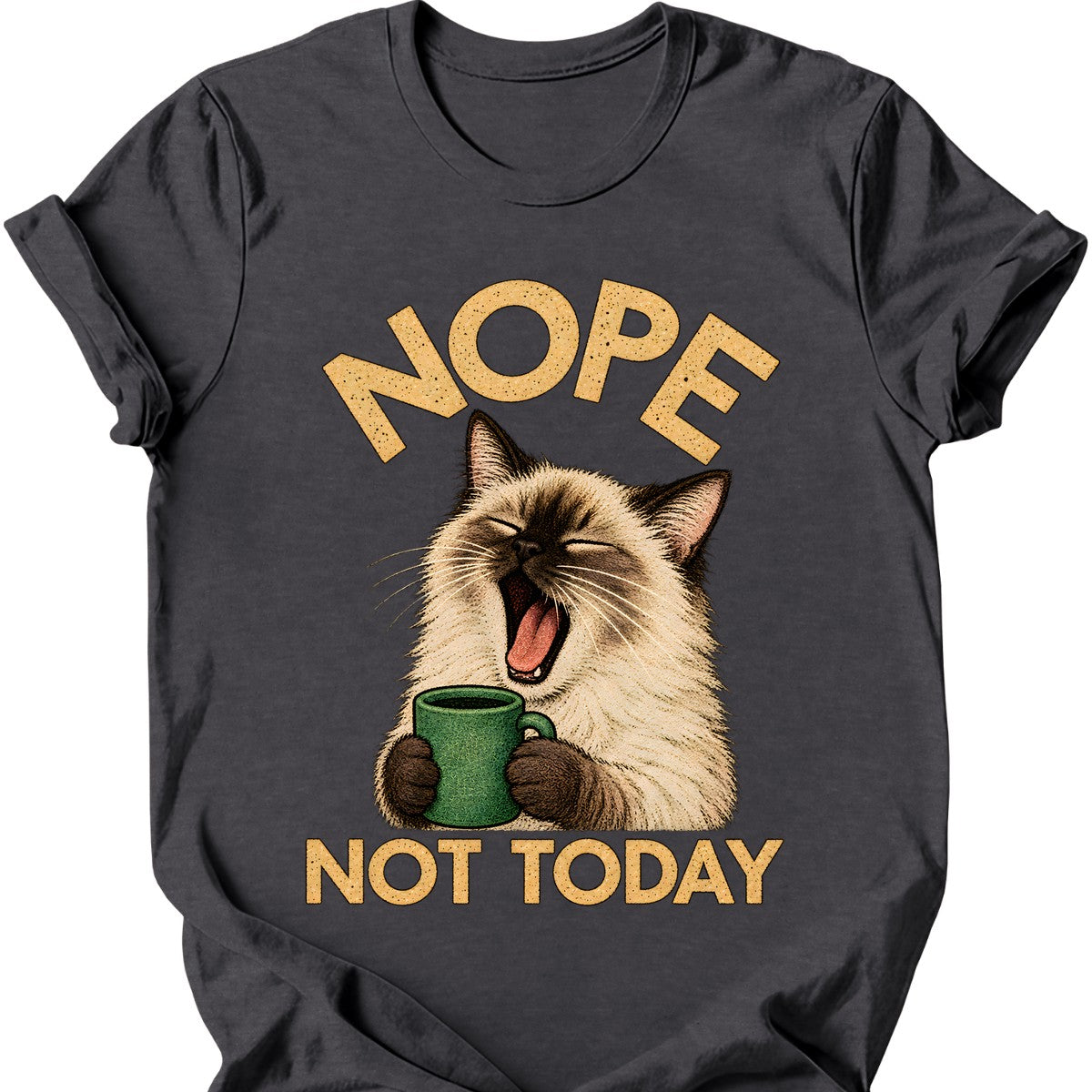 Not Today — Ragdoll Cat T-Shirt — Dark Heather