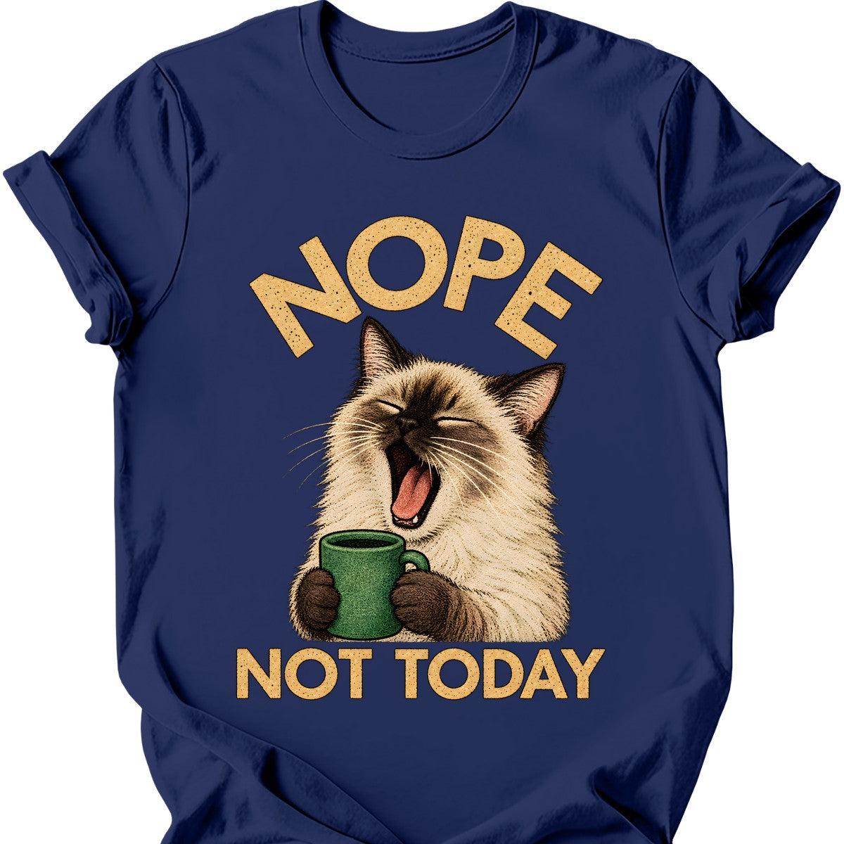 Not Today — Ragdoll Cat T-Shirt — Navy