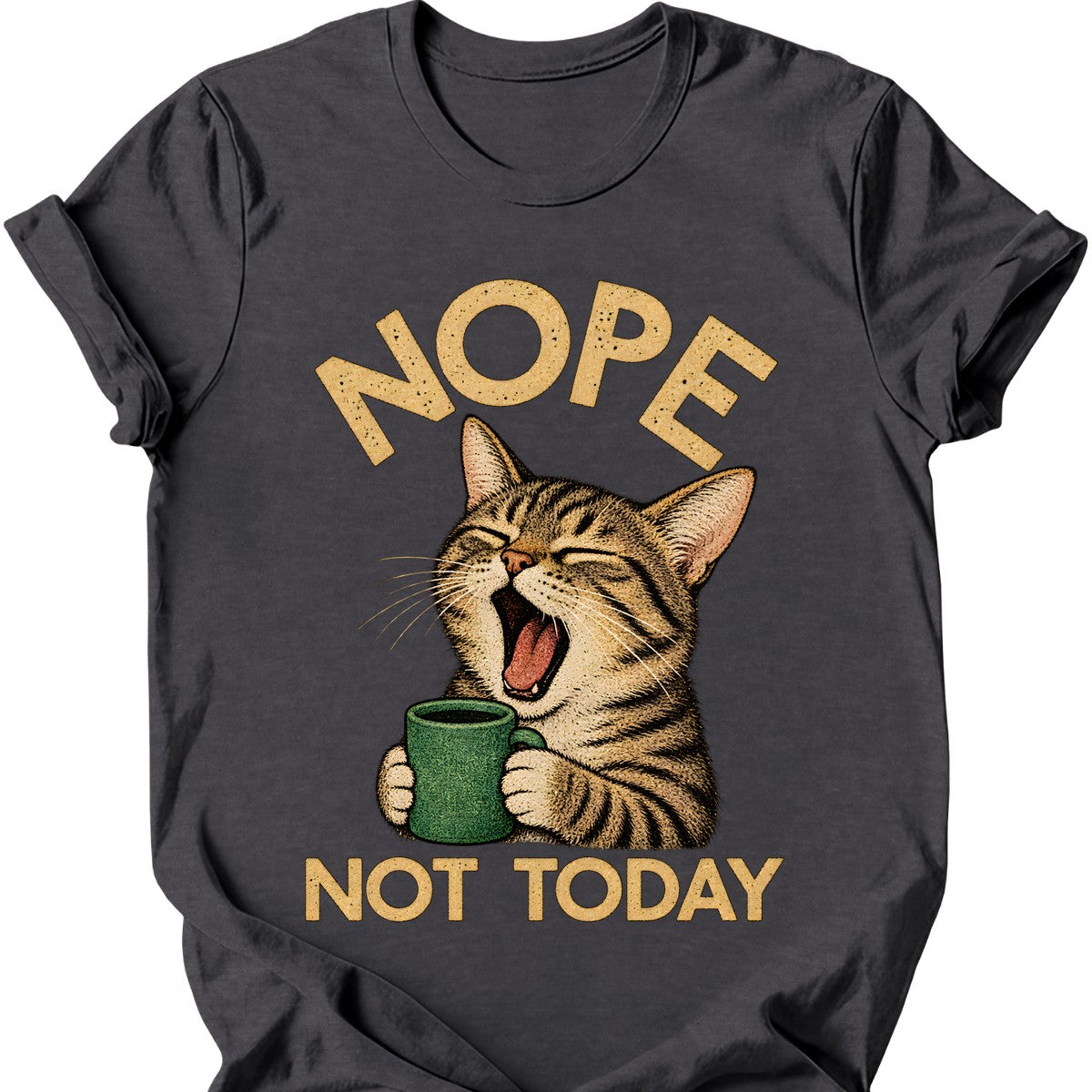 Not Today — Tabby Cat T-Shirt — Dark Heather