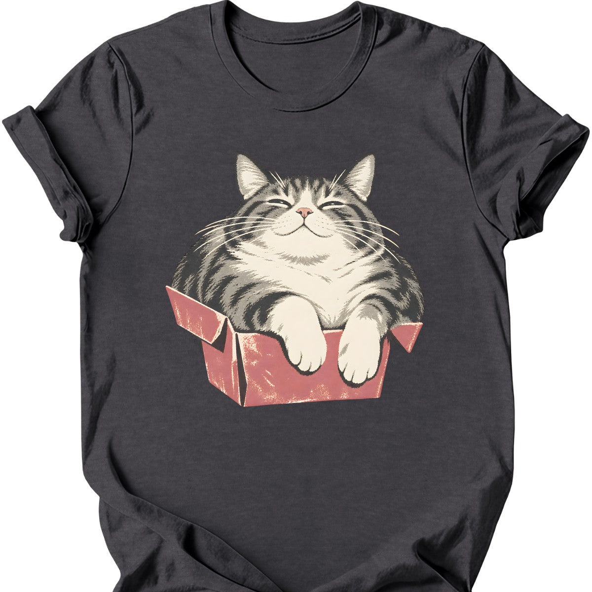 Too Small Box Cat T-Shirt — Dark Heather