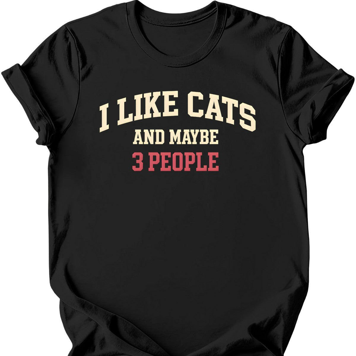 I Like Cats and Maybe 3 People T-Shirt — Black